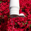 Dometic Chug Bottle, 1L