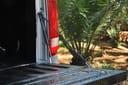 Ford Ranger EZDown Tailgate Kit