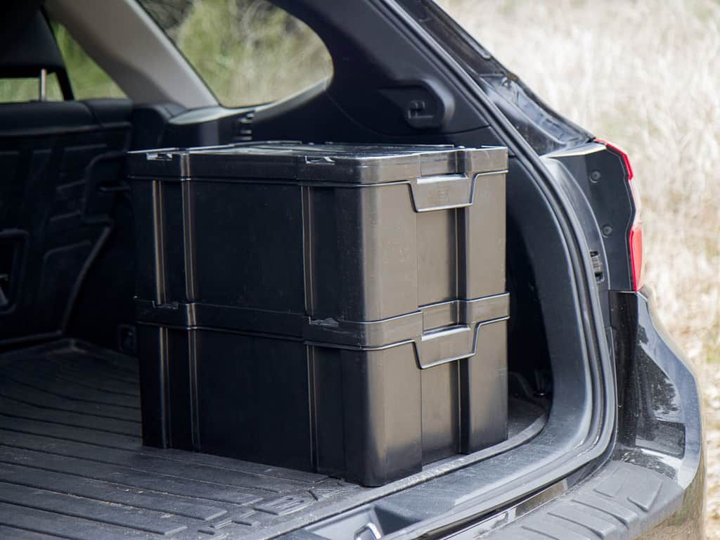 Cub Pack – de Front Runner