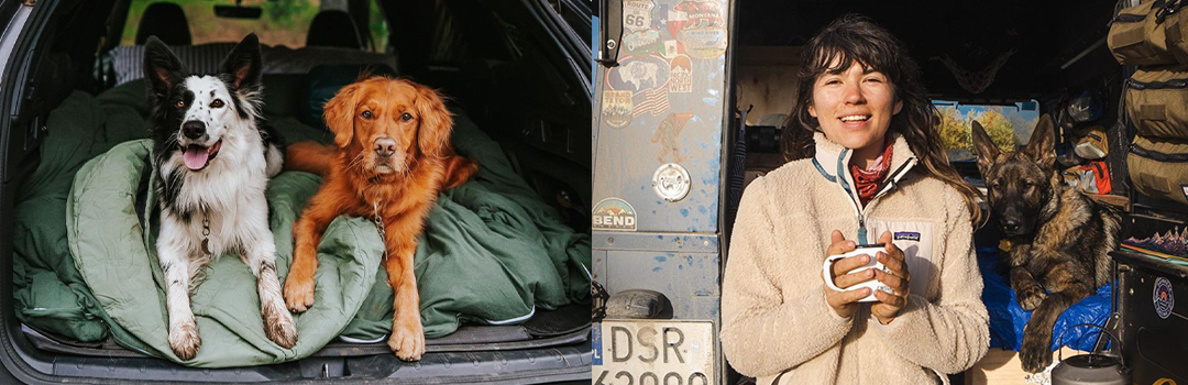 TIPPS FÜR DAS REISEN MIT HAUSTIEREN