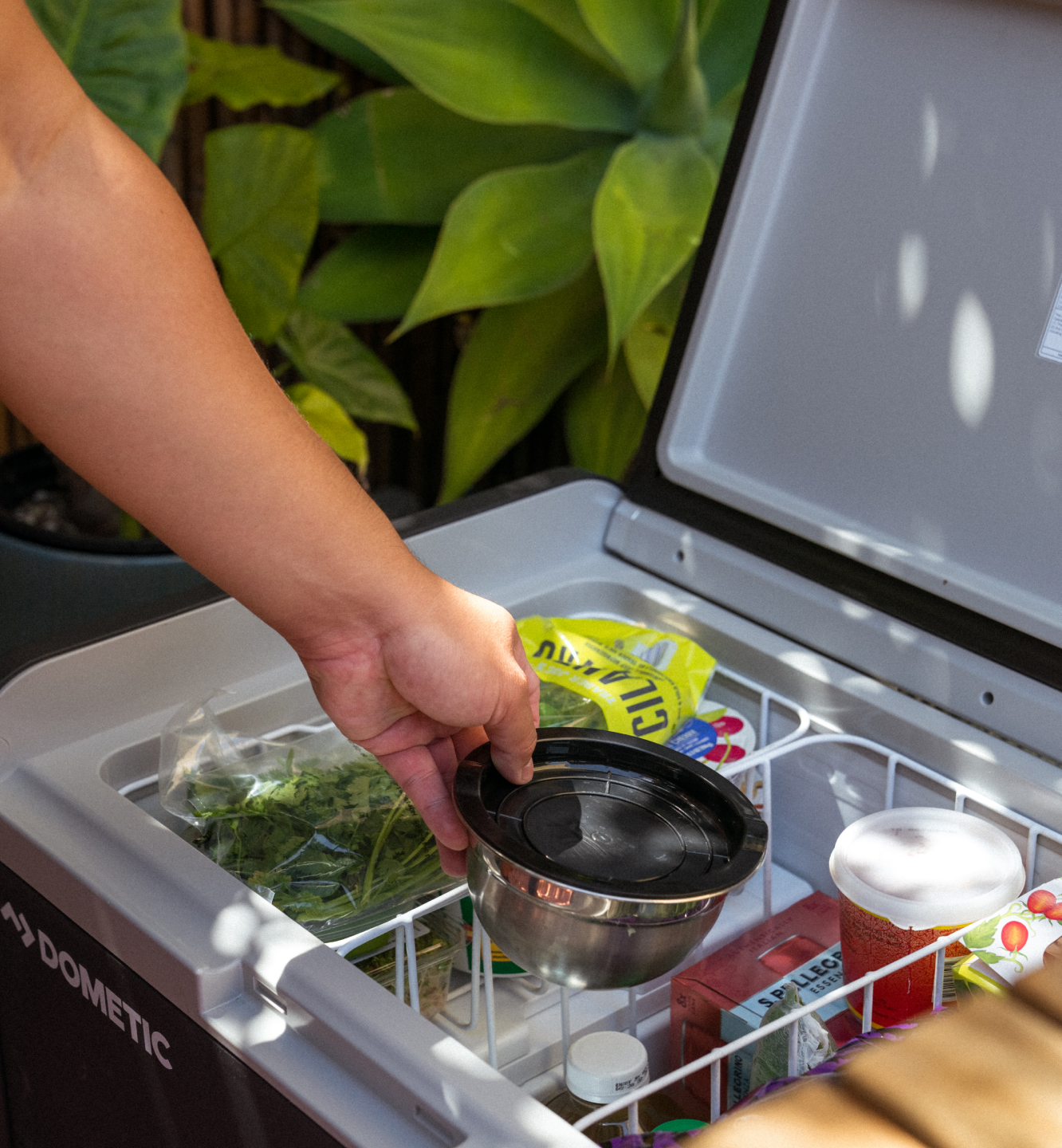 Thai Inspired Shrimp Camp Ceviche - Image Gallery - Block 2 - Item 1