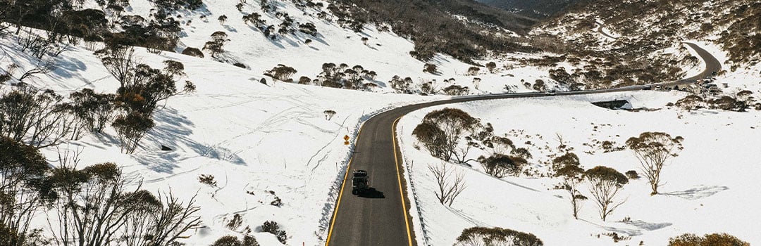 FRONT RUNNER ON THE MOVE: ALEXANDRA ADONCELLO​