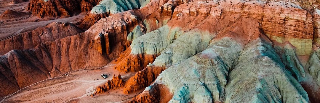 FRONT RUNNER ON THE MOVE–TARA MCGOVERN​