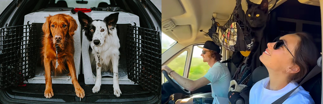 PRO TIPS FOR TRAVEL WITH PETS