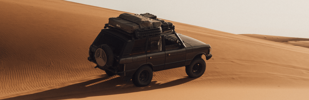 Keep Searching with David Steca