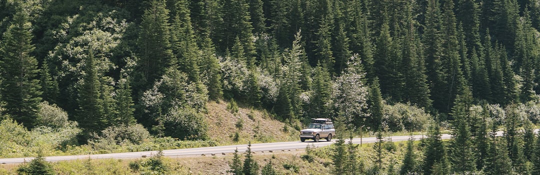 EPIC ROAD TRIPS FOR 2024