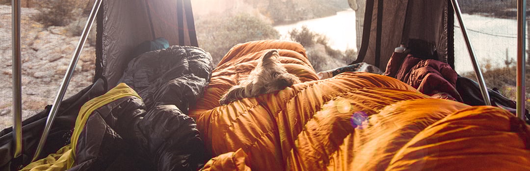 HOW TO SLEEP WELL WHILE CAMPING