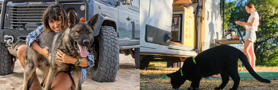 PRO TIPS FOR TRAVEL WITH PETS