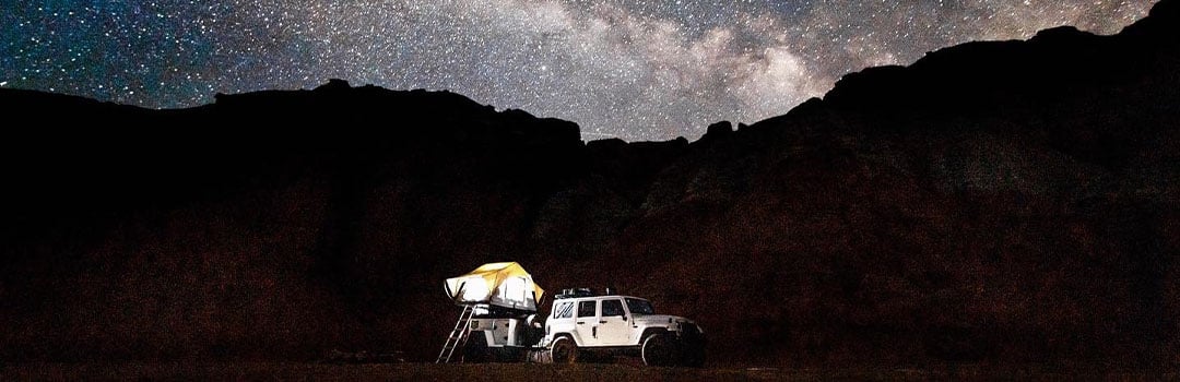 FRONT RUNNER ON THE MOVE–TARA MCGOVERN​