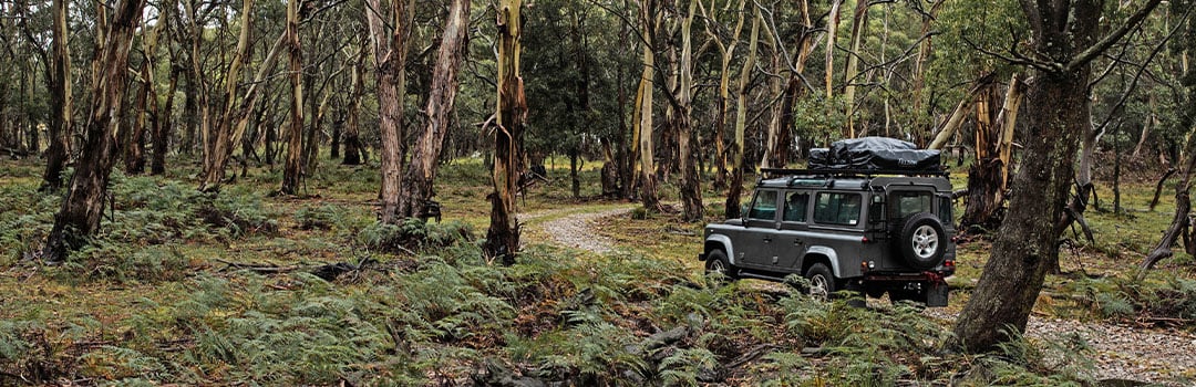 FRONT RUNNER ON THE MOVE: ALEXANDRA ADONCELLO​