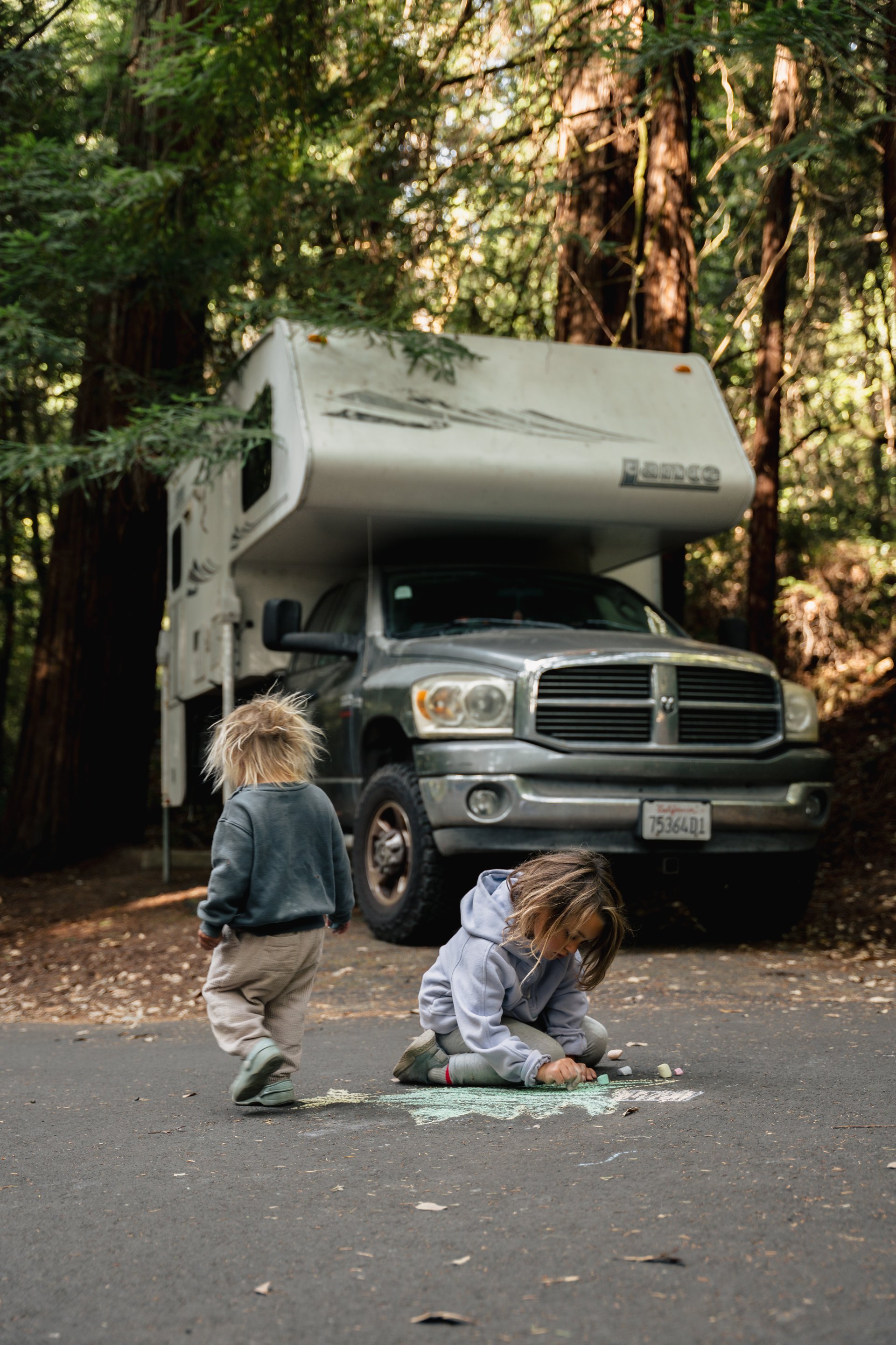 The Amaro Family media 5