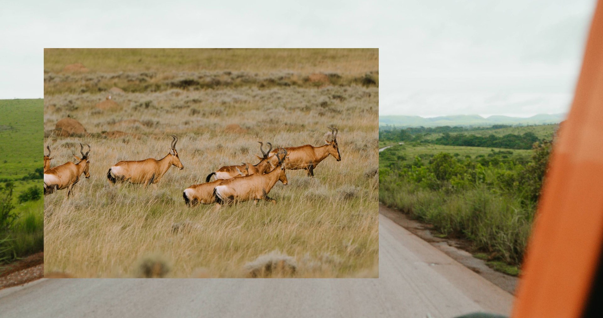 Trans-Africa Overlanding - Hero Carousel - Slide 4