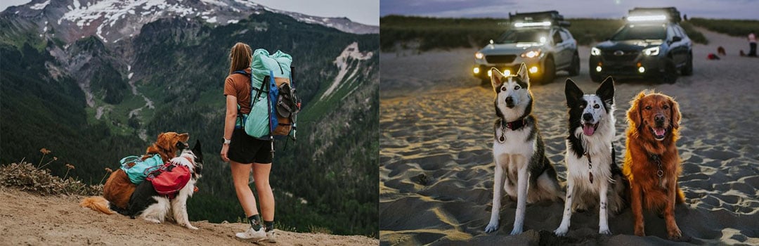 FRONT RUNNER ON THE MOVE: HANNAH HICKAM