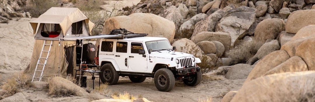 FRONT RUNNER ON THE MOVE: TARA MCGOVERN