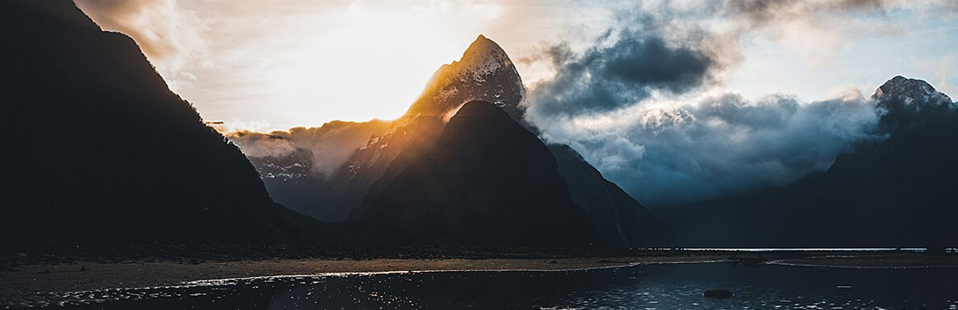 FRONT RUNNER ON THE MOVE: JAMIE HUMBY