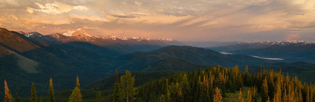 Front Runner on the Move: Justin Kauffman