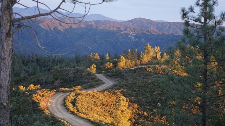 Clean Cruiser Project Scenery.jpg