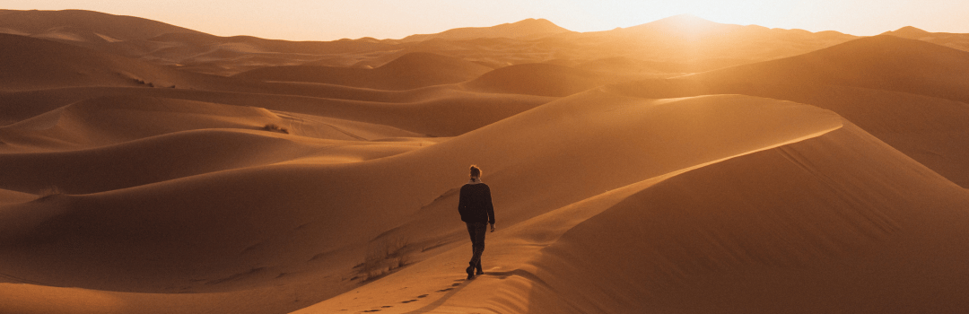 Keep Searching with David Steca