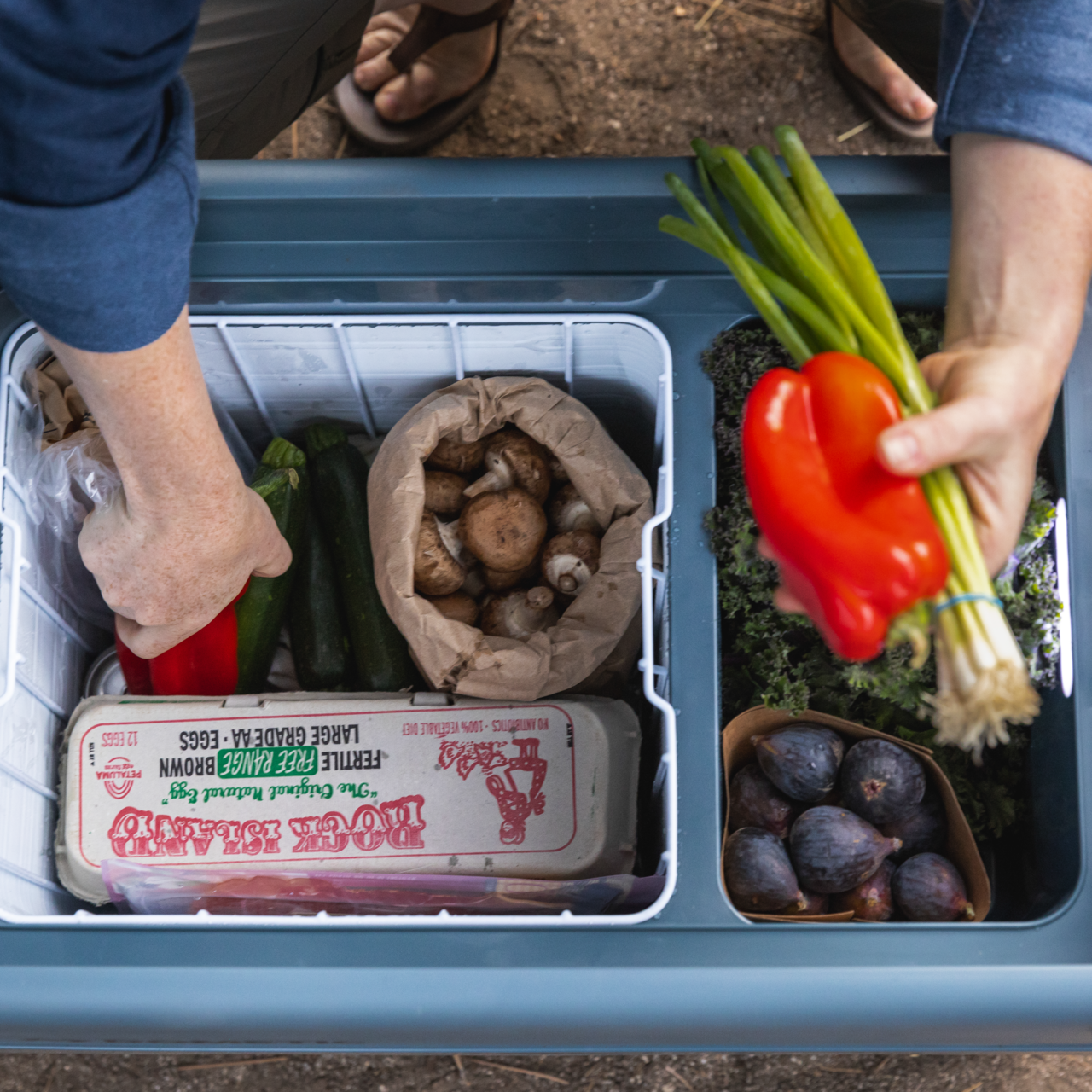 CHILL IT OR FREEZE IT