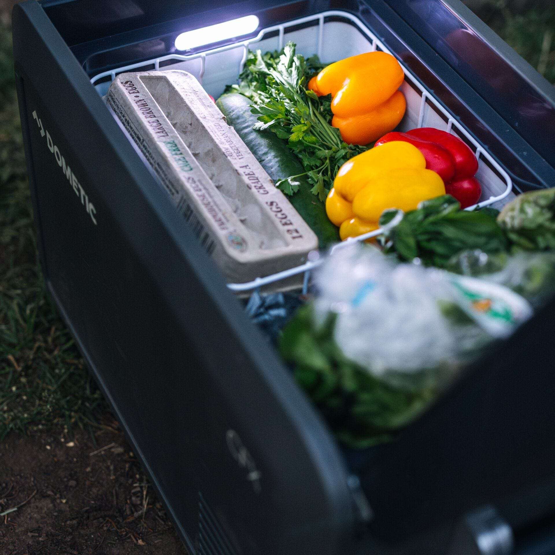 Dometic CFX5 35