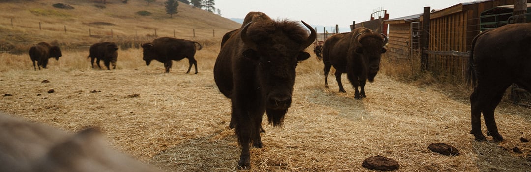 FRONT RUNNER ON THE MOVE: August Hausman