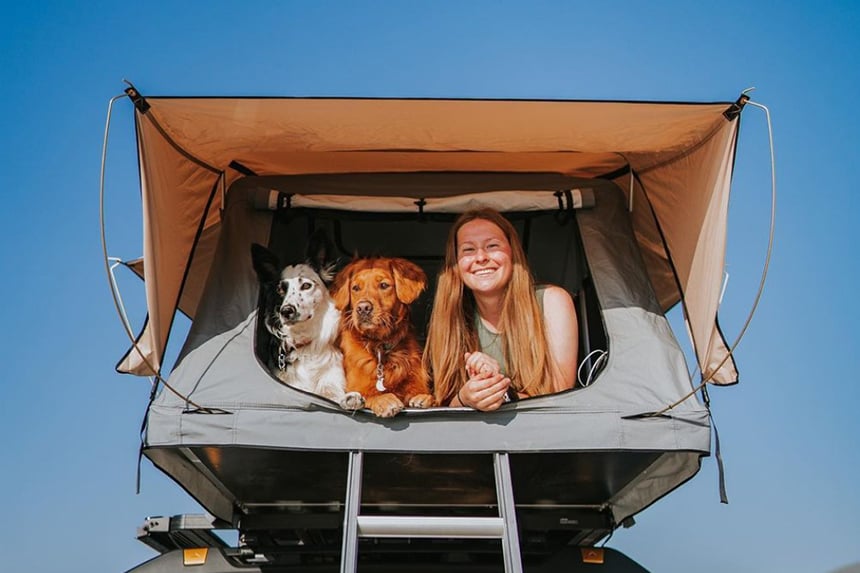 PRO TIPS FOR TRAVEL WITH PETS