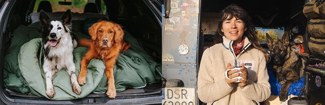 TIPPS FÜR DAS REISEN MIT HAUSTIEREN