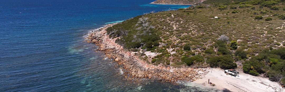 FRONT RUNNER ON THE MOVE: RONNY DAHL