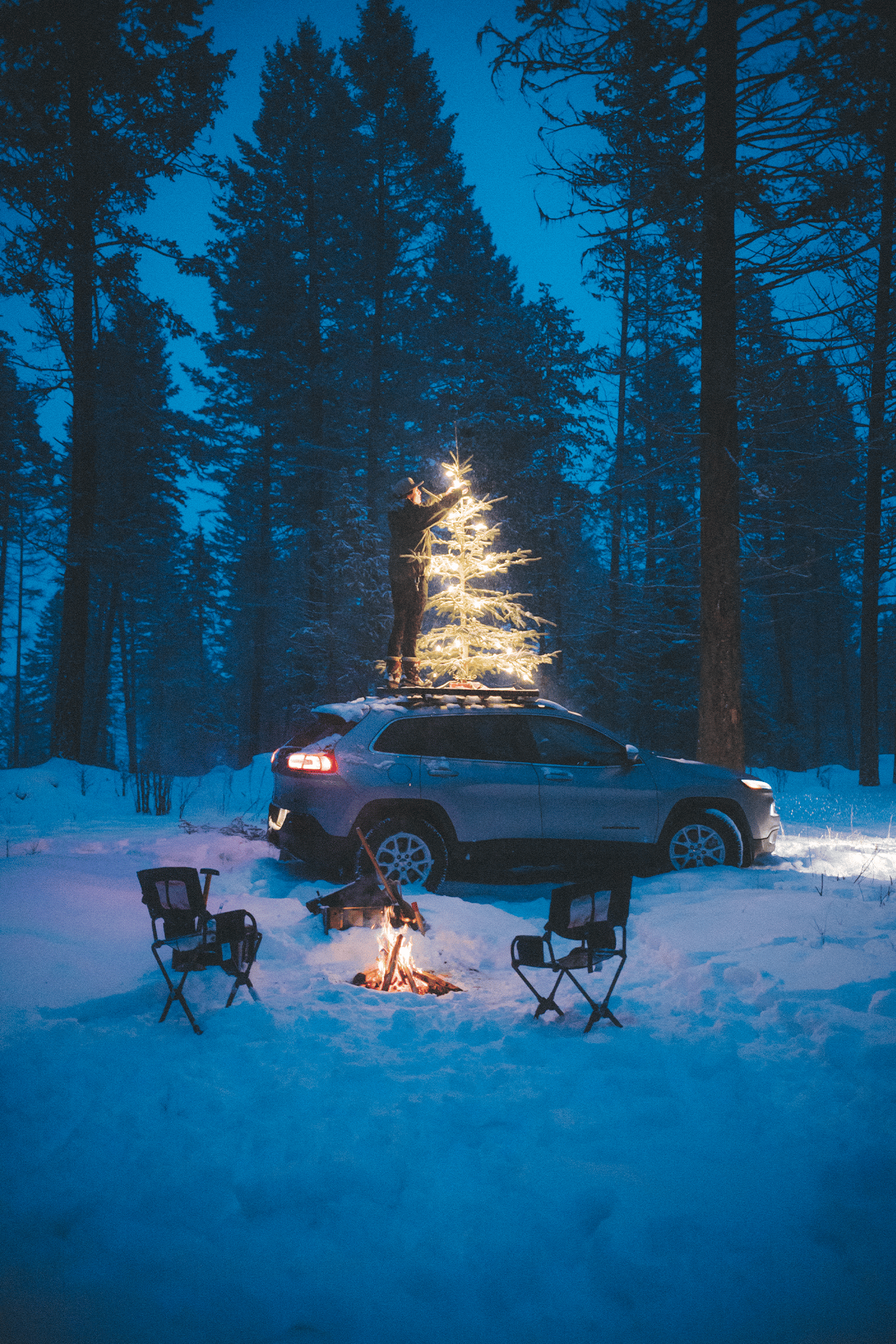  Roof Top Christmas Tree At Night