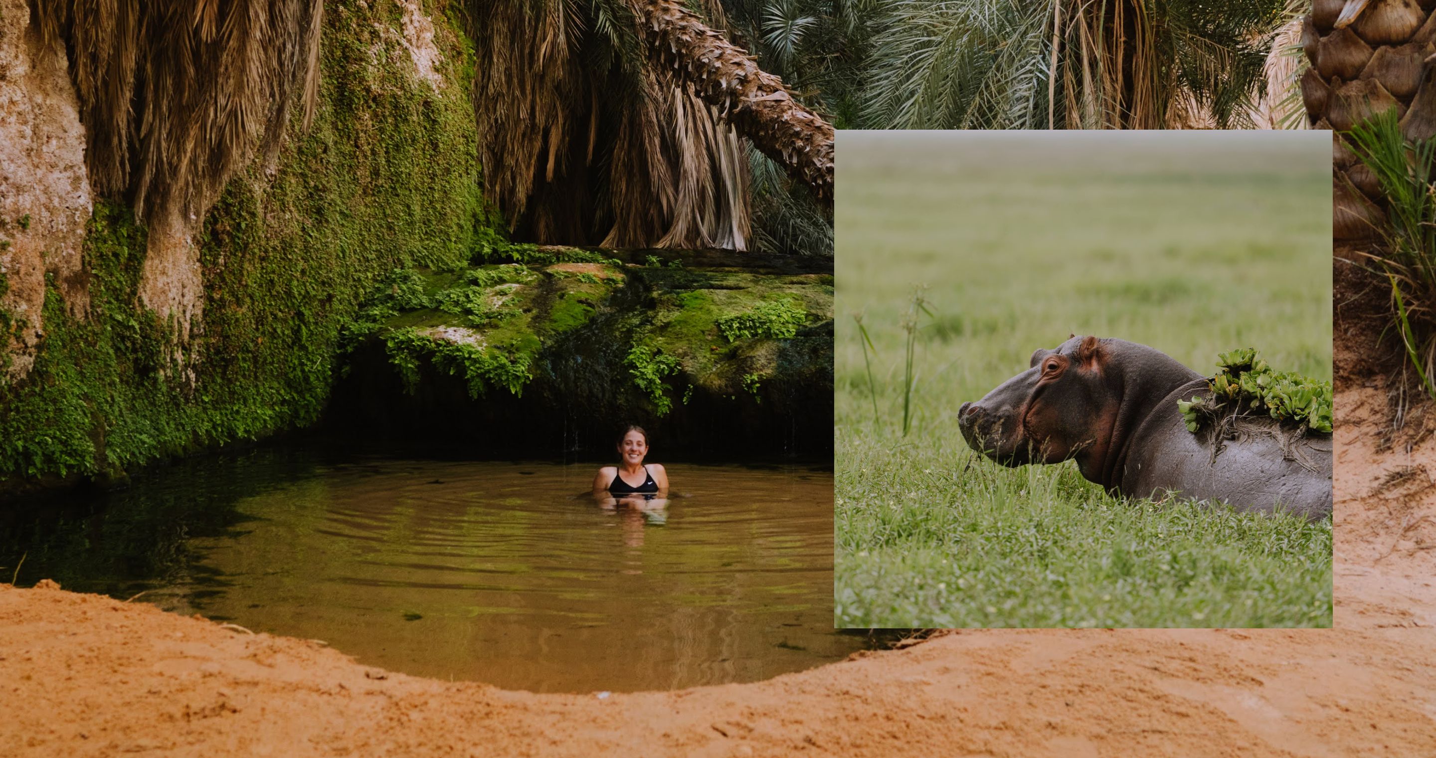 Trans-Africa Overlanding - Hero Carousel - Slide 2