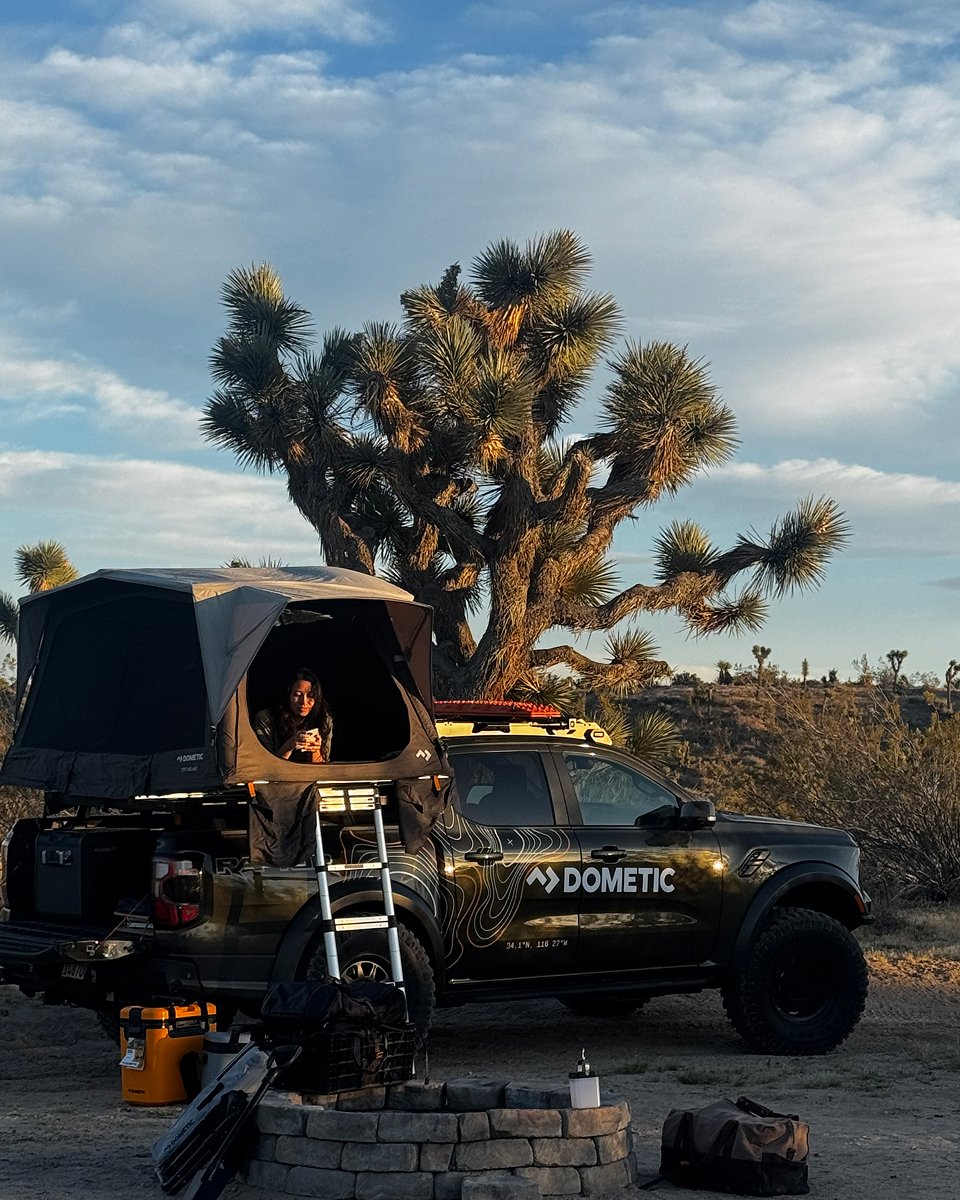 P2P Diana Yen media image 3