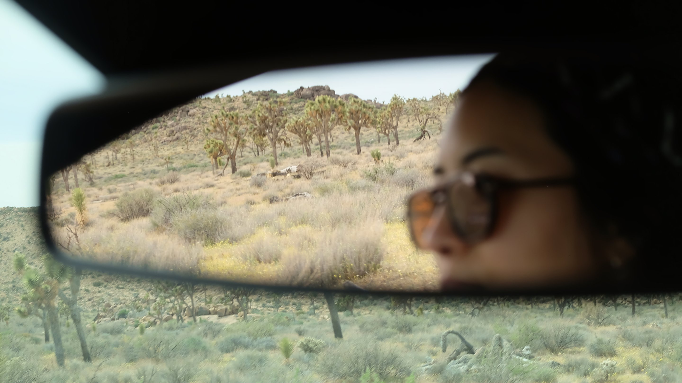 P2P Diana Yen hero image desktop