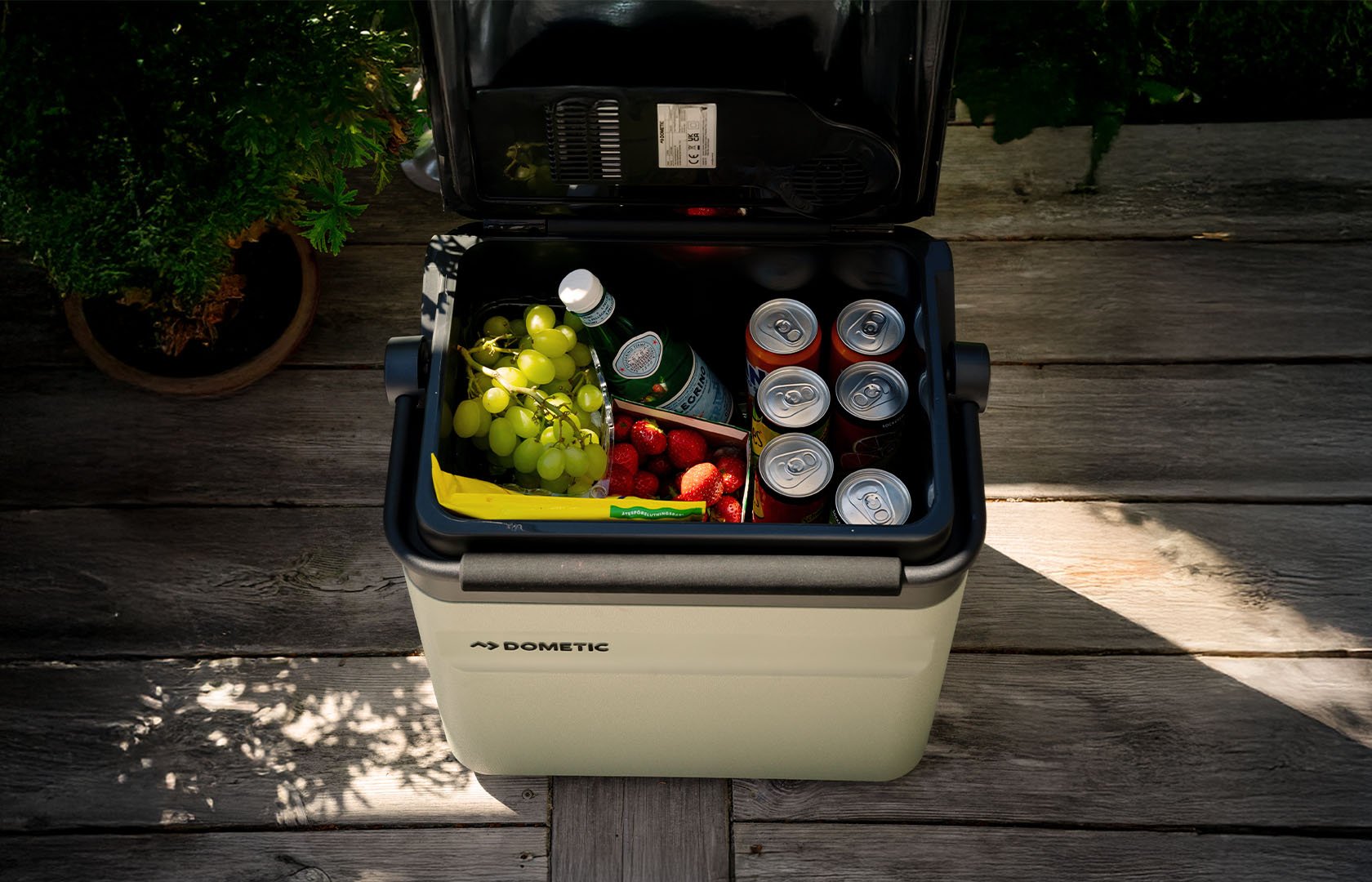 Dometic DTE26 thermoelektrische Kühlbox gefüllt mit Getränken und frischem Obst, tragbare elektrische Kühlbox mit organisiertem Innenraum