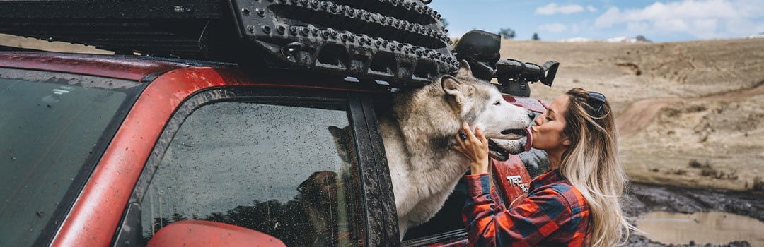 Essential Winter Camping tips