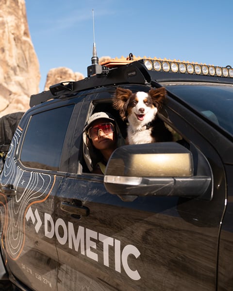 Renee Lusano media 2