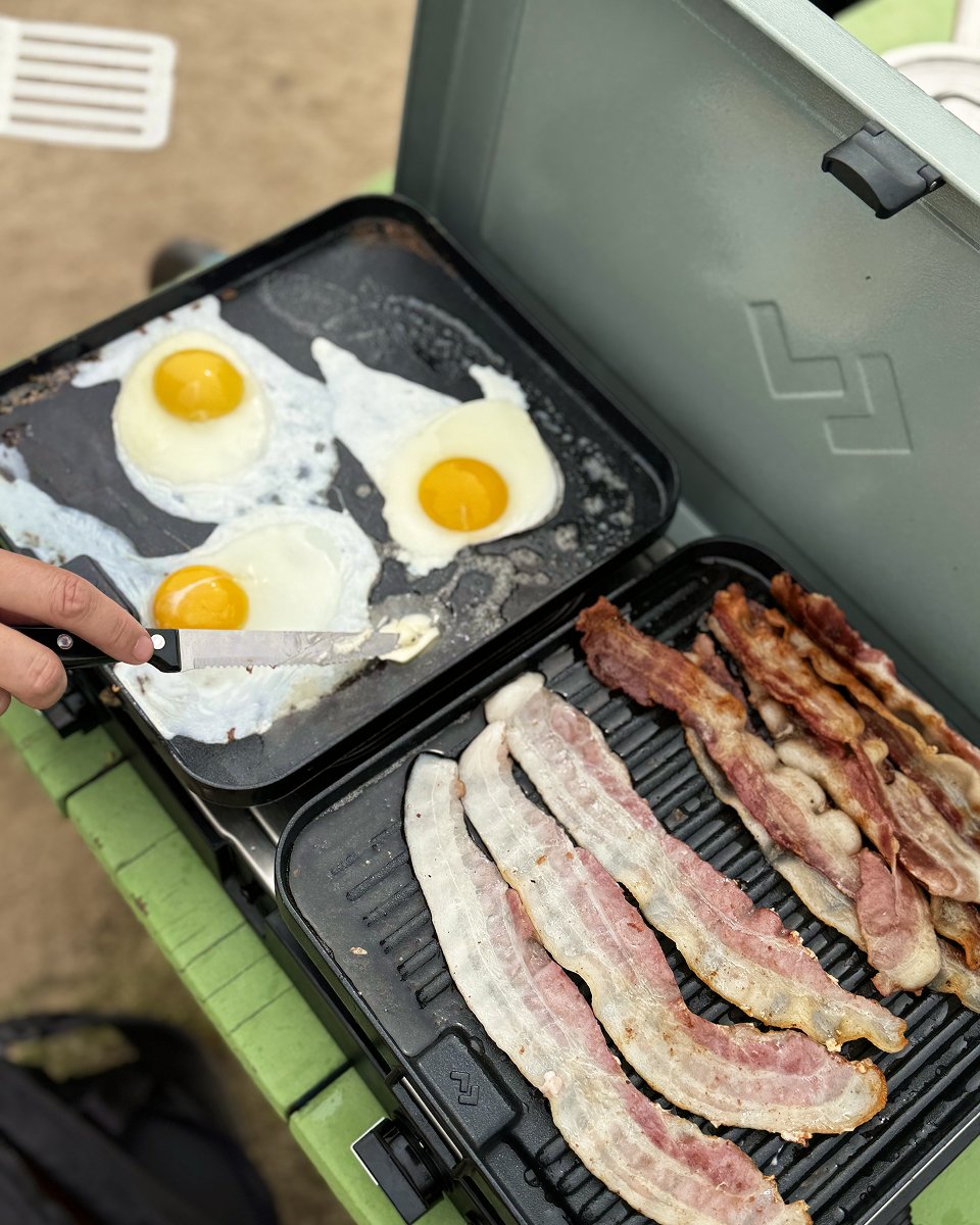 P2P Diana Yen media 7