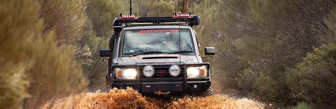 FRONT RUNNER ON THE MOVE: RONNY DAHL