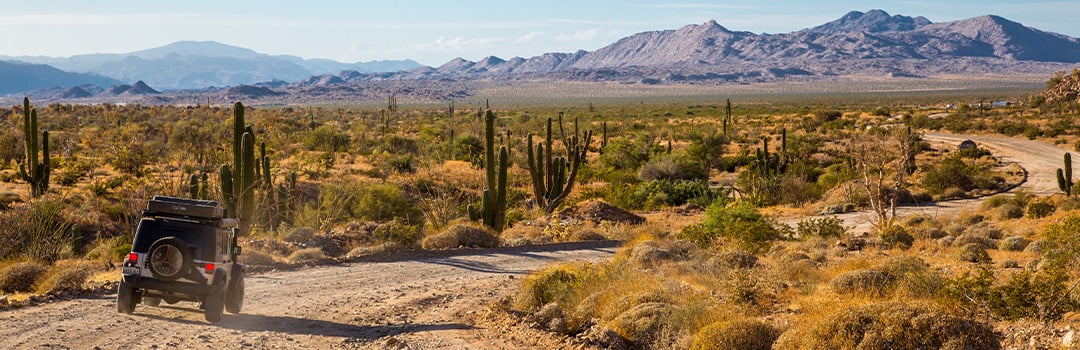 THE MOST FAMOUS OVERLAND CAMPSITES IN THE WORLD