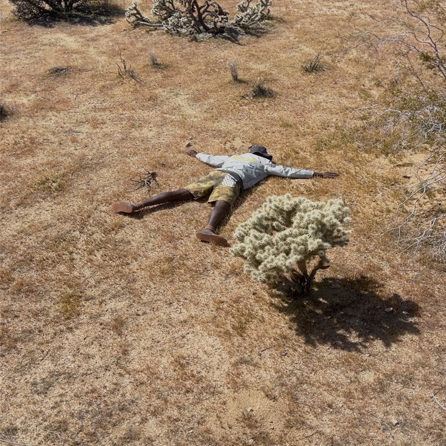 P2P Nelson Pequeno media 4