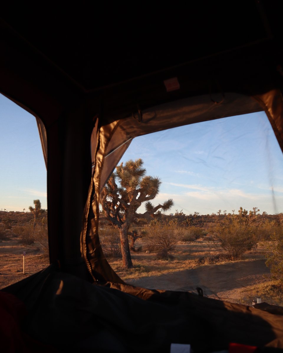 P2P Taylor Moore media 8