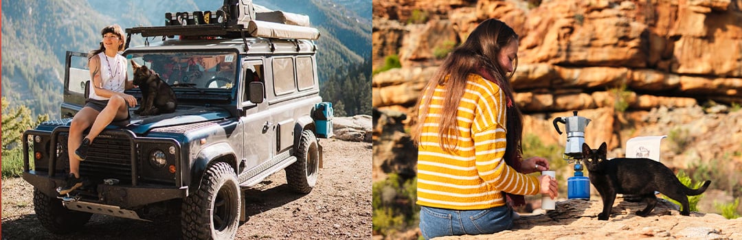 PRO TIPS FOR TRAVEL WITH PETS