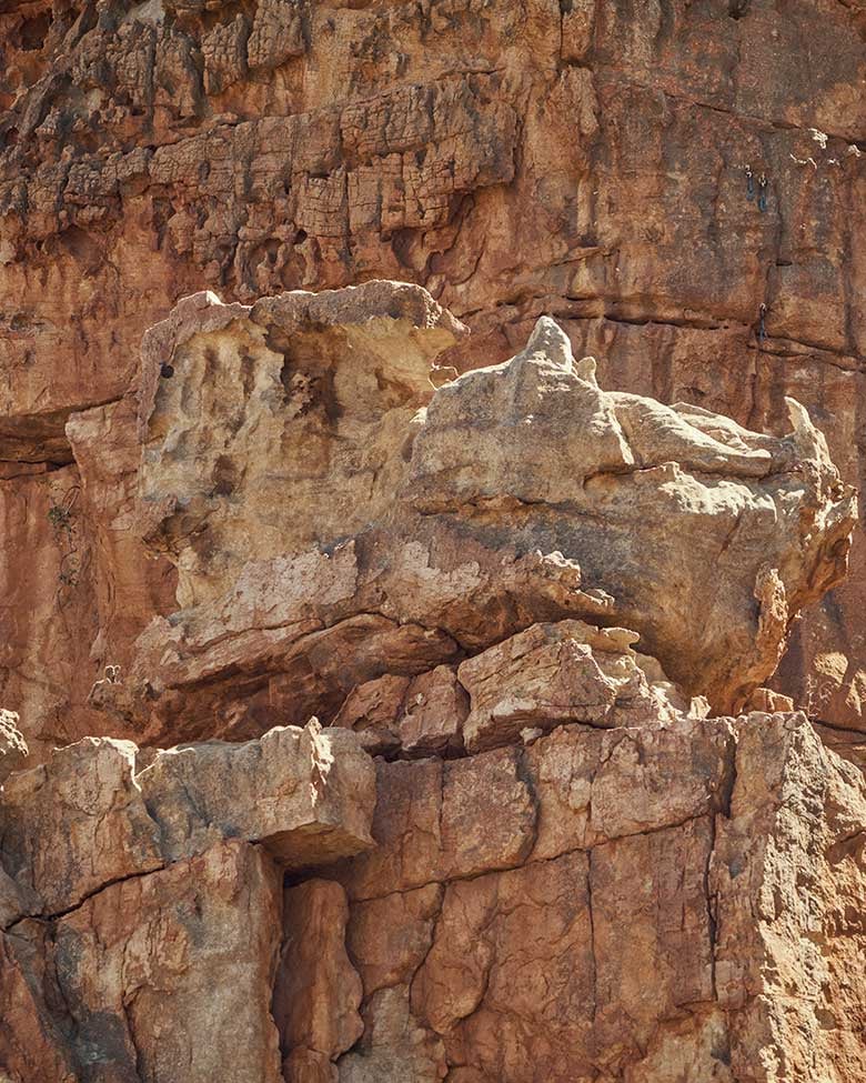 Dometic Climbing-wall Hero-mob