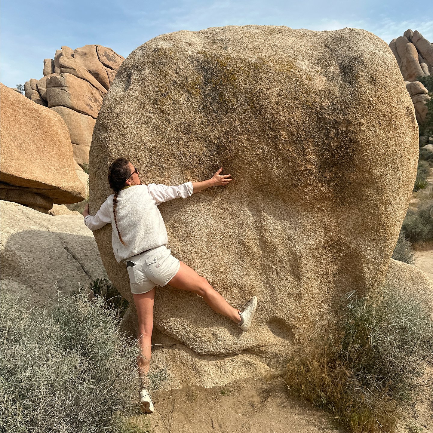 P2P Diana Yen media 5