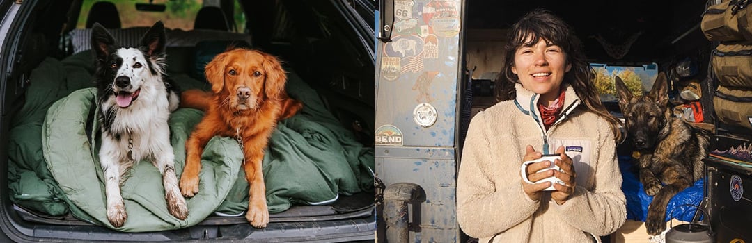 PRO TIPS FOR TRAVEL WITH PETS