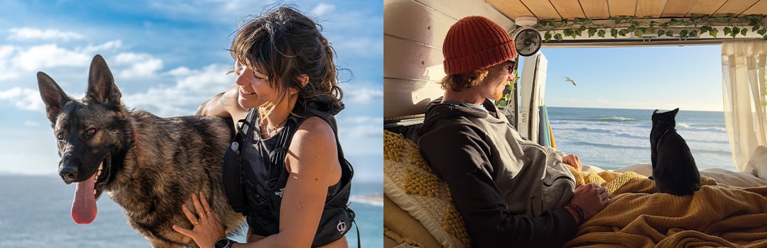 PRO TIPS FOR TRAVEL WITH PETS