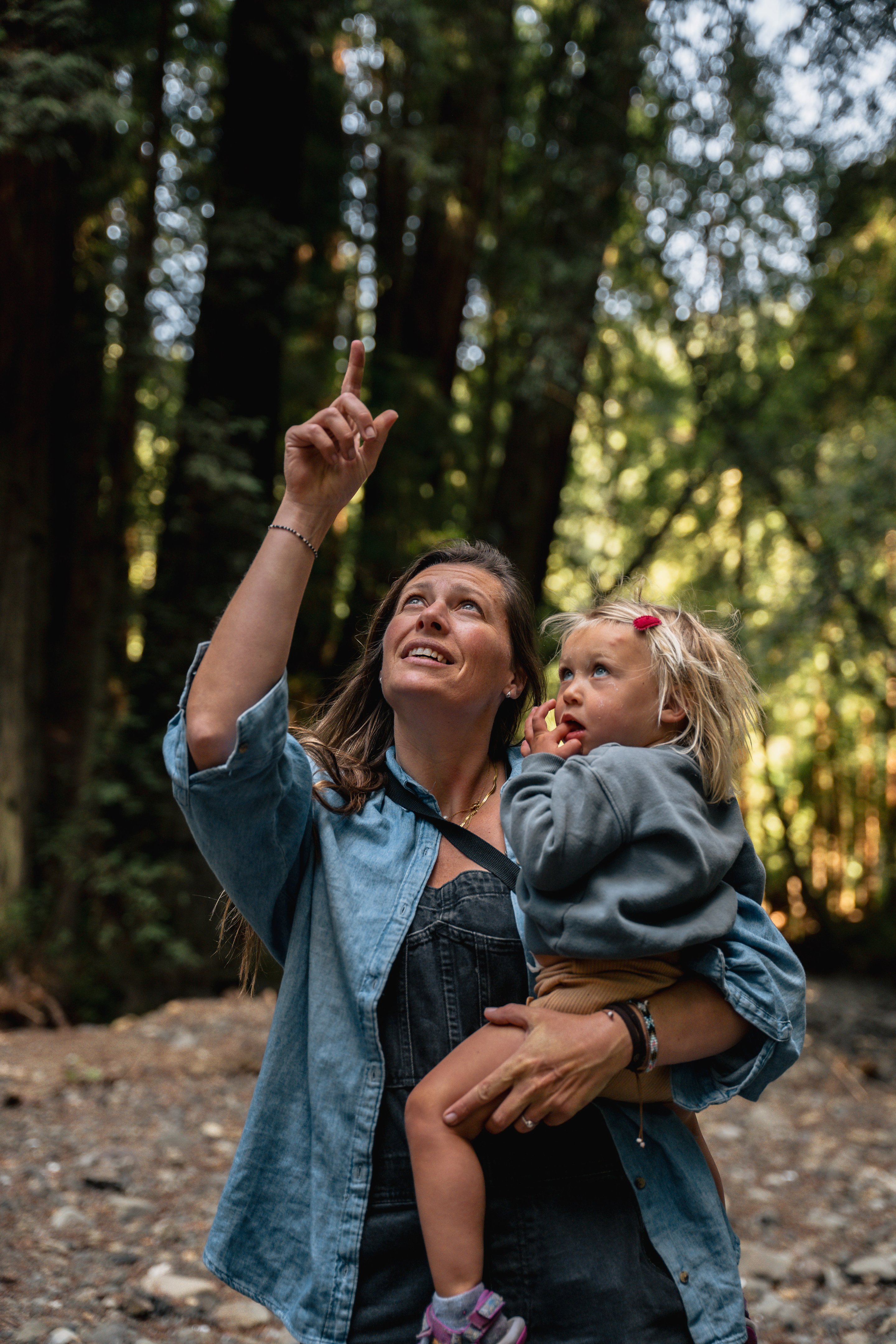 The Amaro Family media 7