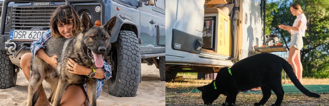 TIPPS FÜR DAS REISEN MIT HAUSTIEREN