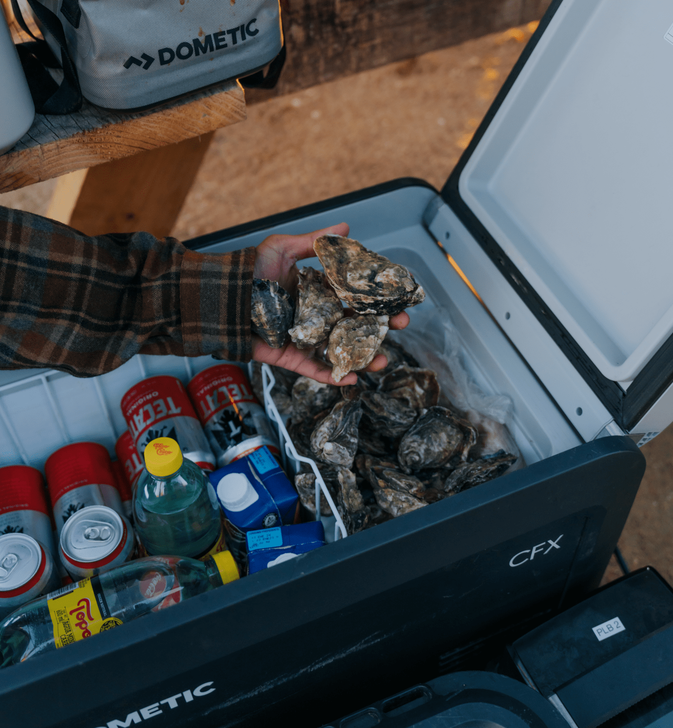 How to Overland in Baja & Oyster Recipe - Image Row Block 01 - Item 1