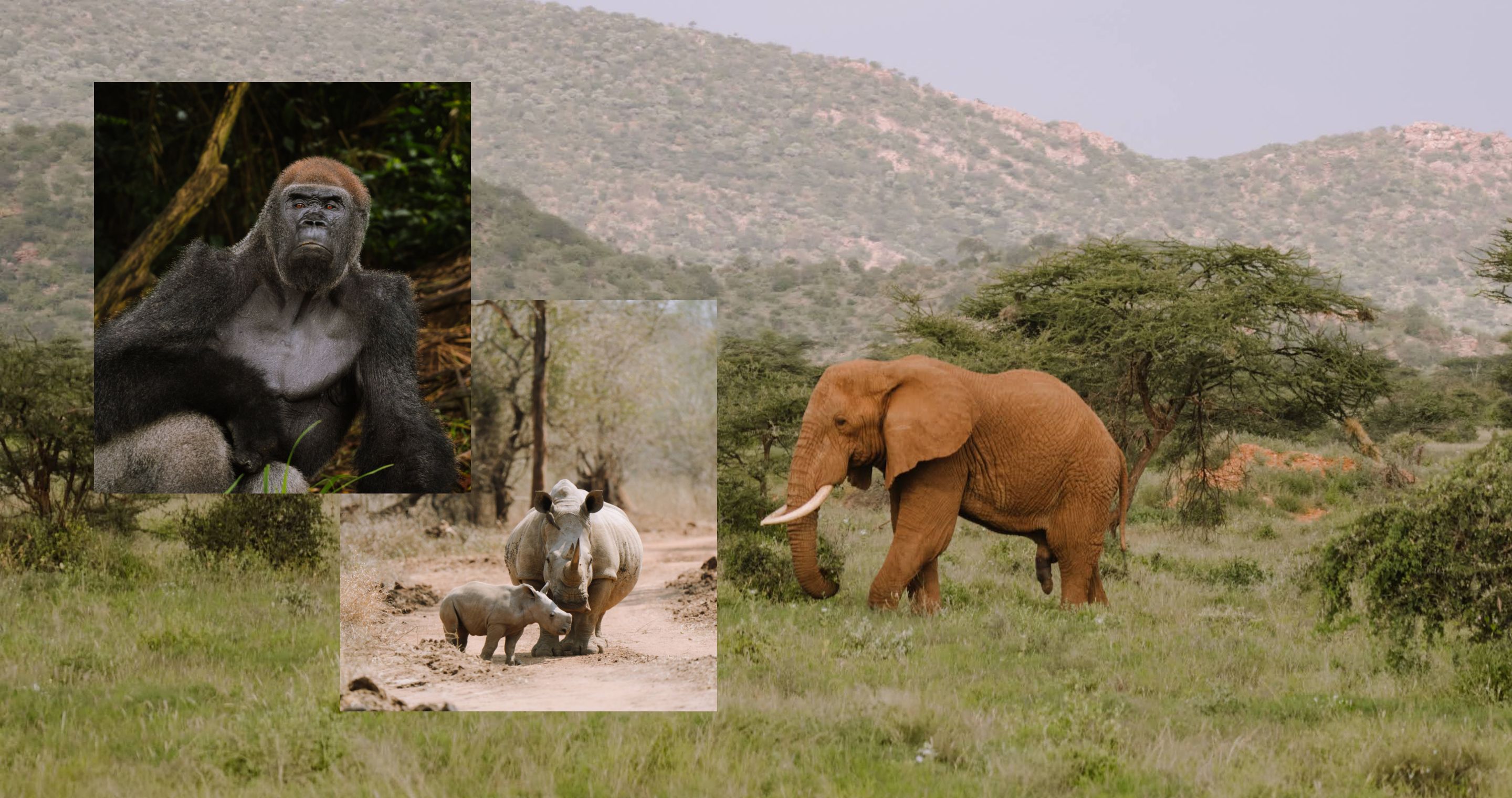 Trans-Africa Overlanding - Hero Carousel - Slide 9