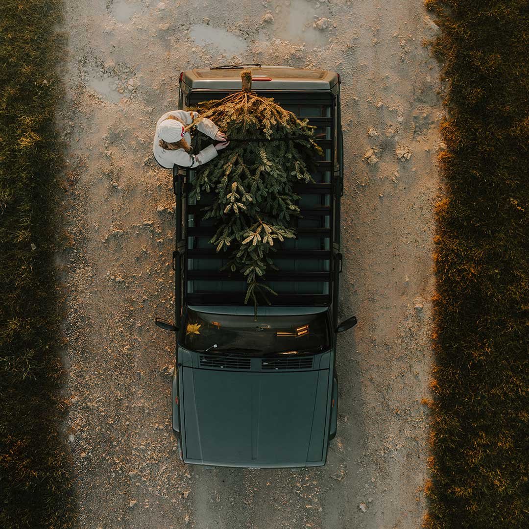 Front Runner Alice Moose Christmas Tree Birdview